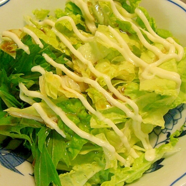 白菜と水菜の簡単サラダ